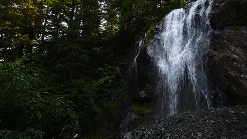 Small waterfall in the forest Stock Footage 95517923