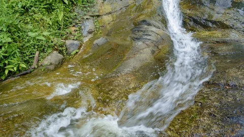Small waterfall in forest Stock Footage 115072374