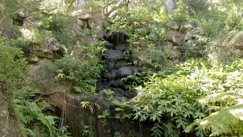 Small Waterfall In Forest Stock Footage 123702156