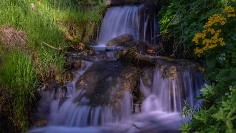 Small waterfall in the forest Stock Footage 132241210