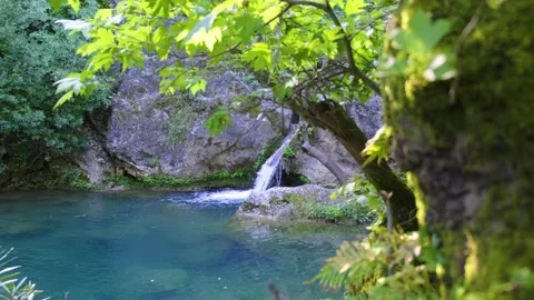 Small waterfall in the forest Stock Footage