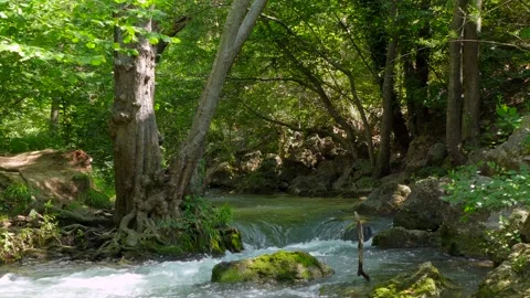 A small waterfall in the forest Stock Footage 140228788
