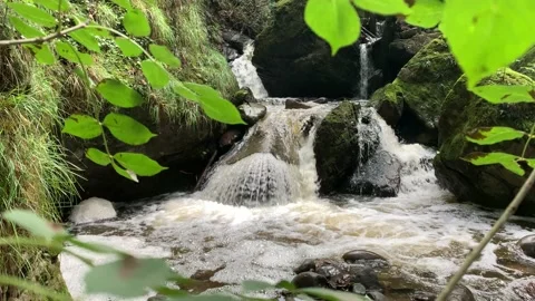 Small Waterfall In The Forest Video stock 149982108