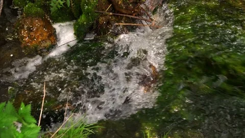 Small waterfall in the forest. Stock Footage 153547957