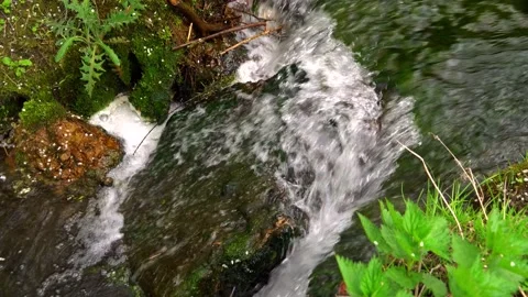 Small waterfall in the forest. Stock Footage 153548253