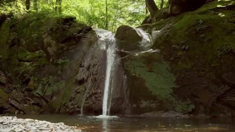 A small waterfall in the forest Stock Footage 160341470