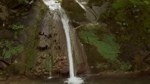 A small waterfall in the forest 스톡 동영상 160341513