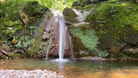 A small waterfall in the forest Stock Footage 160341931