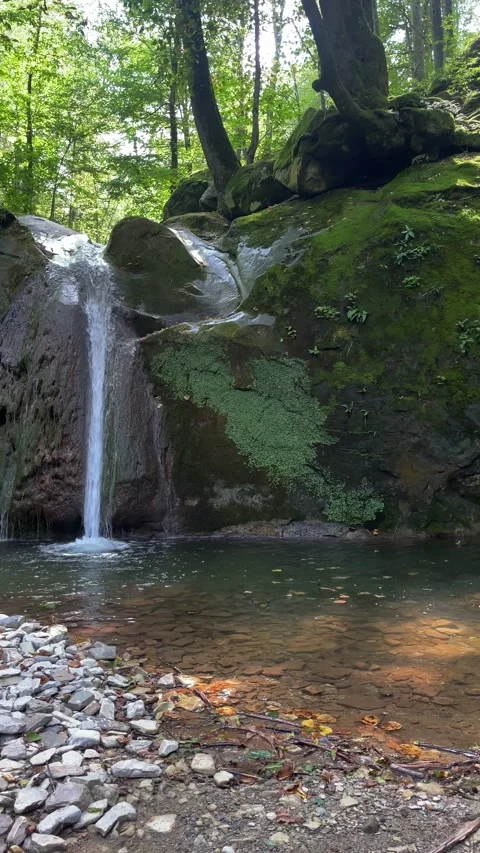 A small waterfall in the forest Stock Footage 160342624