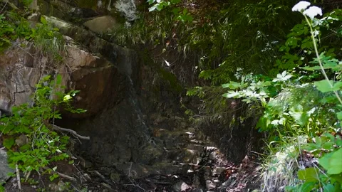 A small waterfall in the forest Stock Footage 183298121