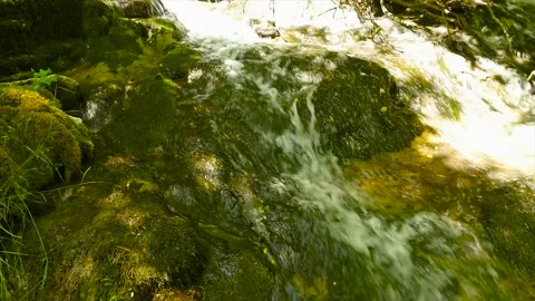 A small waterfall in the forest Stock Footage 184907300