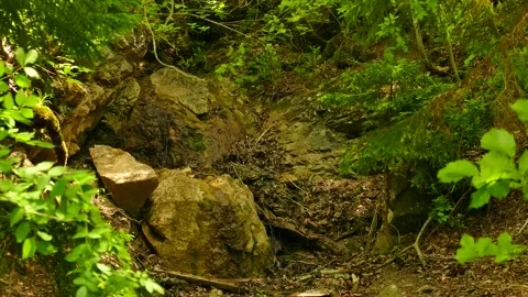 A small waterfall in the Forest Stock Footage 189807426