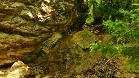 A small waterfall in the Forest Stock Footage 189810387