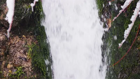 Small waterfall in the forest Stock Footage 231262362