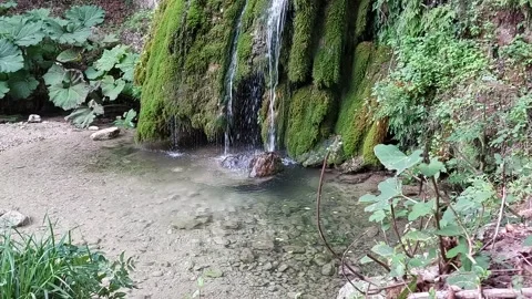 Small waterfall in the forest Stock Footage 237261689