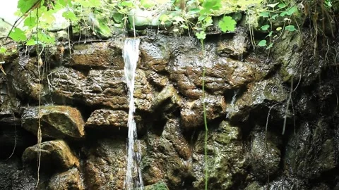 Small waterfall in a forest	 Stock-Footage 305819526