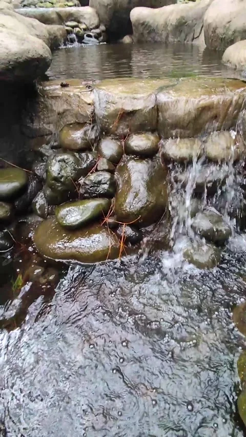 Small waterfall in the forest Stock Footage 306746029