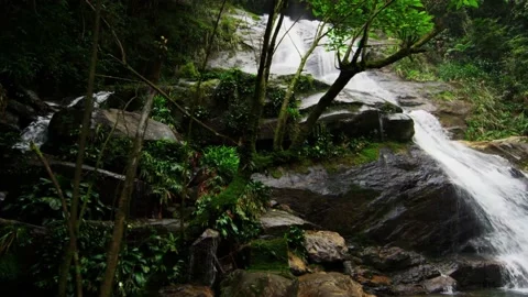 Small Waterfall In The Forest Footage Stock Footage 156522717