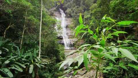 Small Waterfall In The Forest Footage Stock Footage 156522762