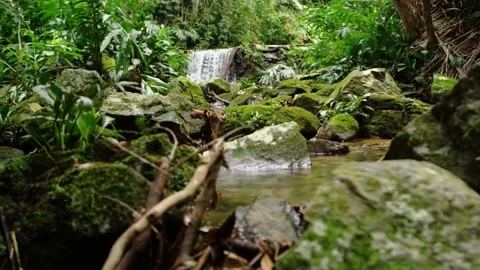 Small Waterfall In The Forest Footage Stock Footage 156522813