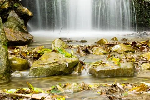 Small waterfall in the forest Stock-Fotos
