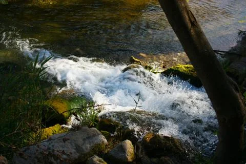 Small waterfall in forest Fotos Stock