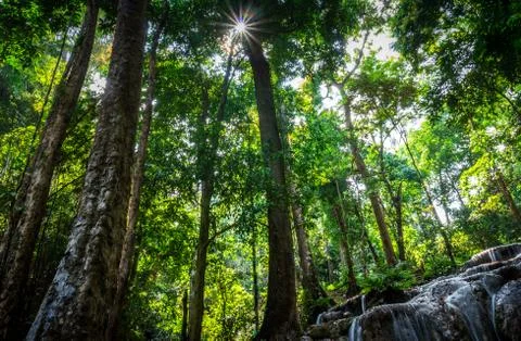 Small waterfall in the forest Stock Photos