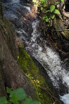 Small waterfall in the forest Stock Photos