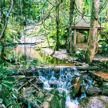 Small waterfall in the forest Stock Photos