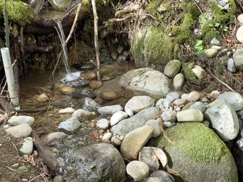 A small waterfall in the forest Stock Photos