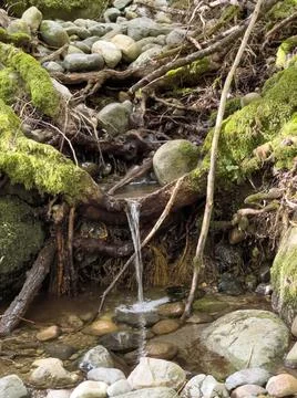 Small waterfall in the forest Stock Photos