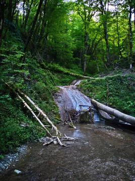 Small waterfall in the forest Stock Photos