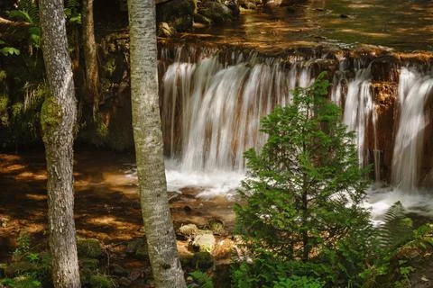 Small waterfall in the forest Stock Photos