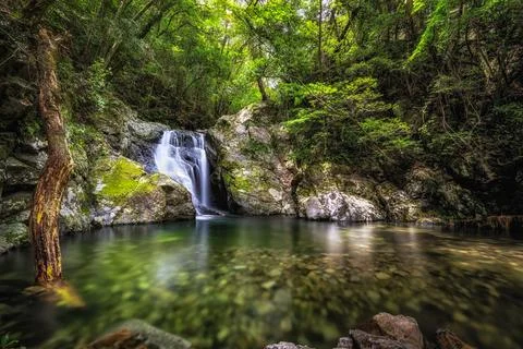 Small waterfall in the forest Stock Photos