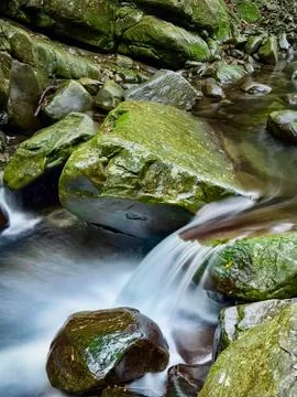 Small waterfall in the forest Stock Photos