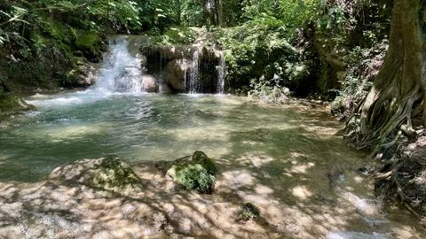 Small waterfall in the forest Foto stock