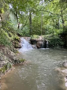 Small waterfall in the forest Stock Photos