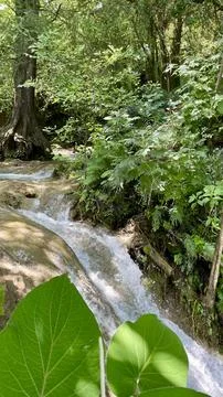 Small waterfall in the forest Stock Photos