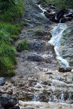 A small waterfall in the forest on a river between green trees.Natural summer Stock Photos