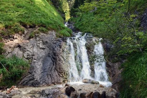 A small waterfall in the forest on a river between green trees.Natural summer Stock Photos