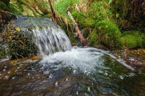Small waterfall on a forest river close-up Stock Photos