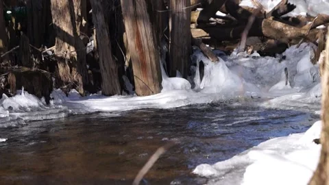 Small waterfall. Forest river. Mountain Creek. Spring forest river. Stock Footage 171997349