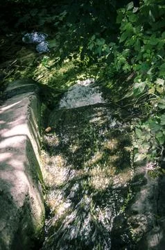 Small waterfall in the forest. Selective focus. Toned. Stock Photos