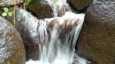 Small Waterfall in Forest Stream – Clear Flowing Water Over Rocks Stock Footage 330552296