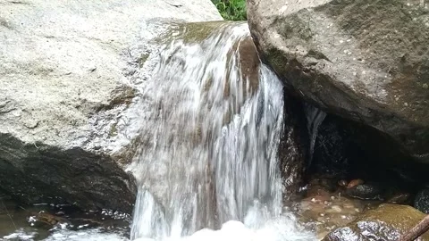Small Waterfall in Forest Stream – Clear Water Cascading Over Rocks Stock Footage 330561094