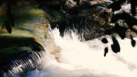 Small waterfall on forest stream Video stock 134029648