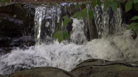 Small Waterfall in Forest Stream Video stock 311667594