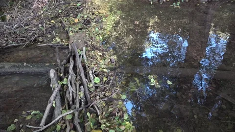 Small waterfall on a forest stream Stock-Footage 332723760