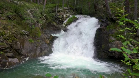 Small waterfall in forest stream in green alps nature Stock Footage 299285853
