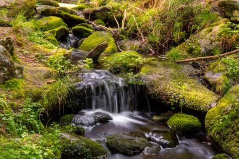 A small waterfall on a forest stream in the middle of the forest Stock Photos